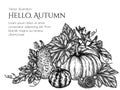 Vector illustration of a bush of 3 different pumpkins